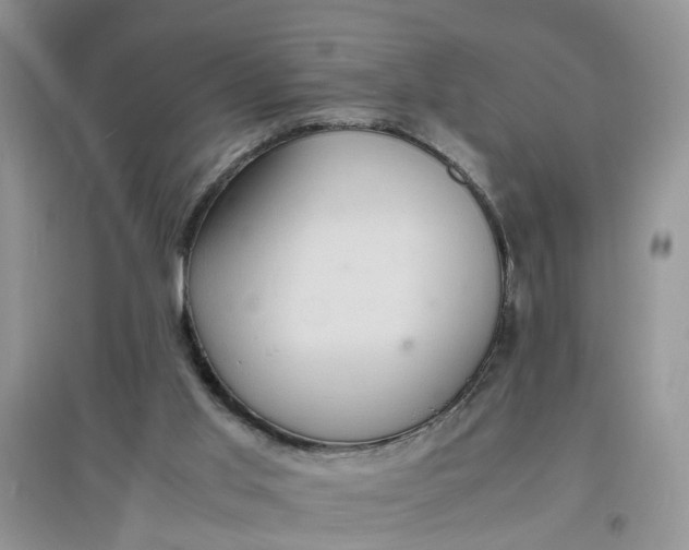 X0000097620013200803142012