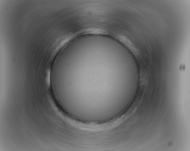 X0000097620014200803142012