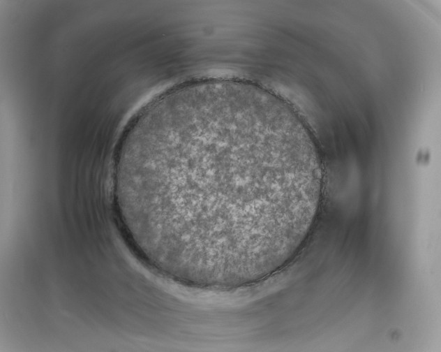 X0000097620016200803142012