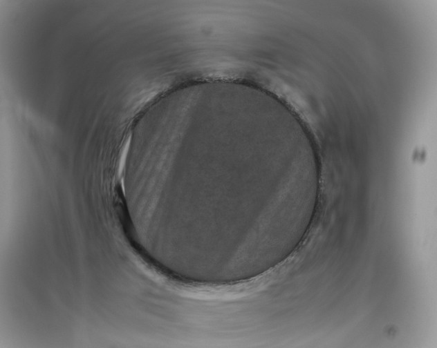 X0000097620017200803142012