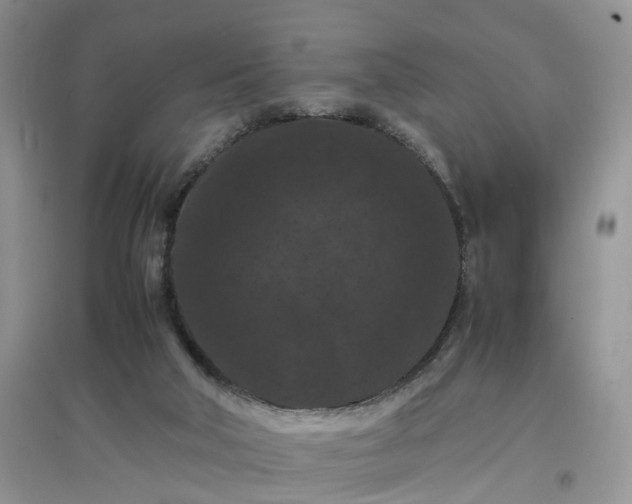 X0000097620018200803142012