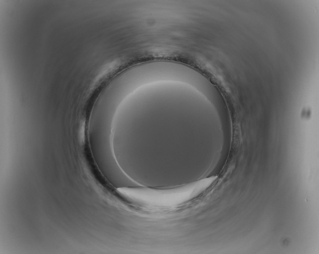X0000097620019200803142012