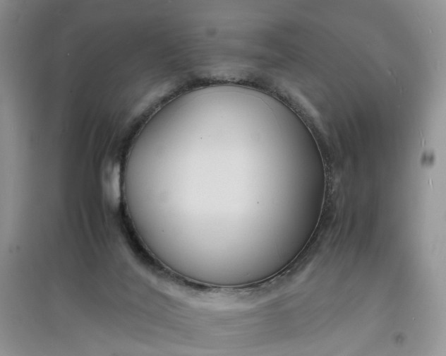 X0000097620020200803142012