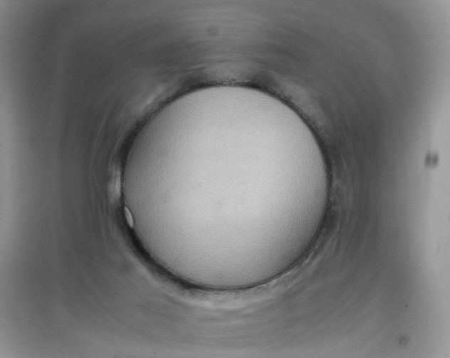 X0000097620021200803142012