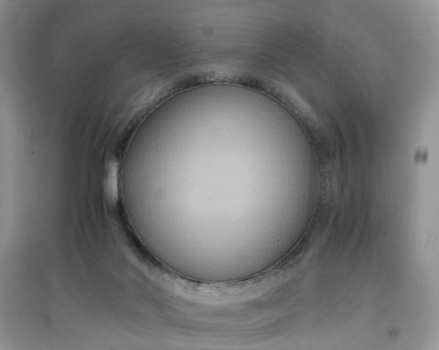 X0000097620022200803142012