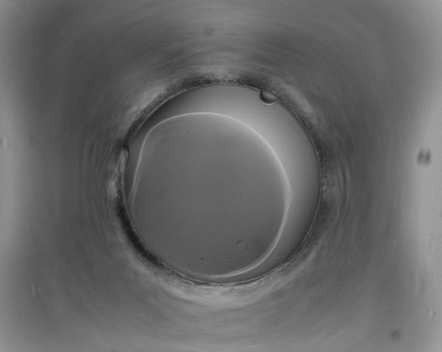 X0000097620023200803142012