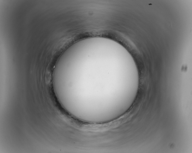 X0000097620025200803142012
