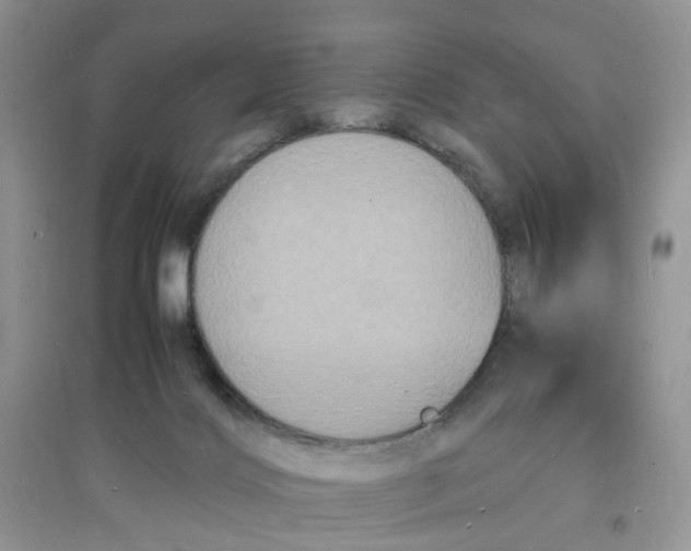 X0000097620028200803142012