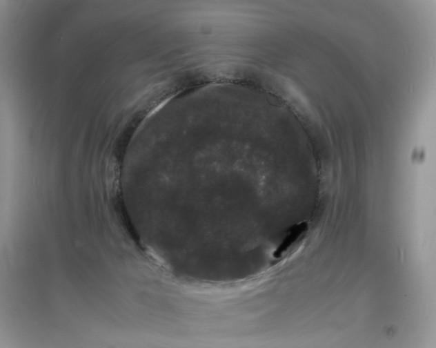 X0000097620029200803142012