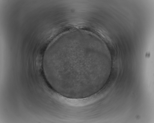X0000097620030200803142012