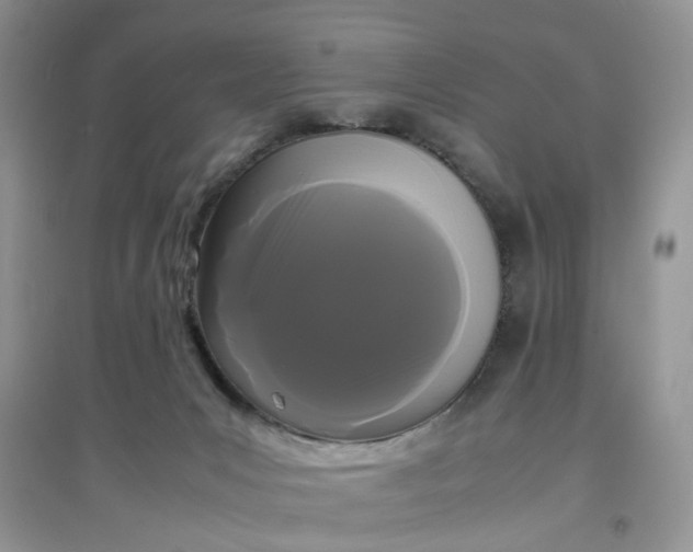 X0000097620031200803142012