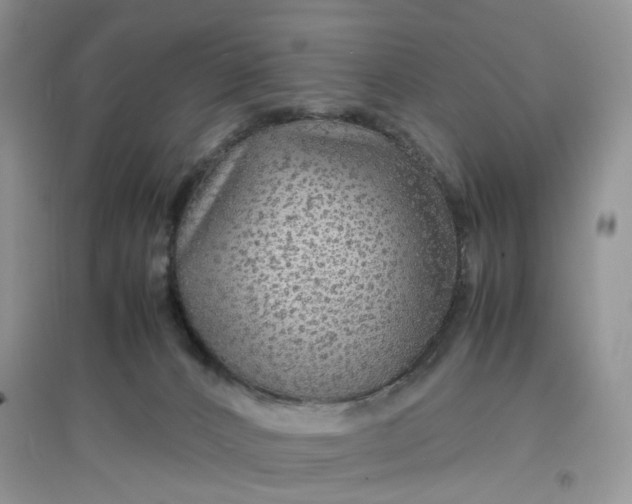 X0000097620032200803142012