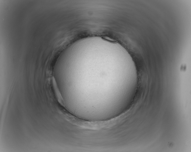 X0000097620033200803142012