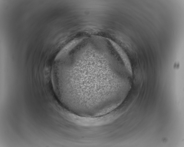 X0000097620034200803142012
