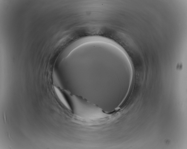 X0000097620035200803142012