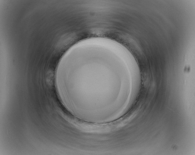 X0000097620036200803142012