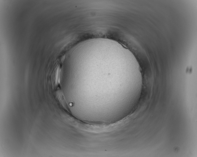 X0000097620037200803142012