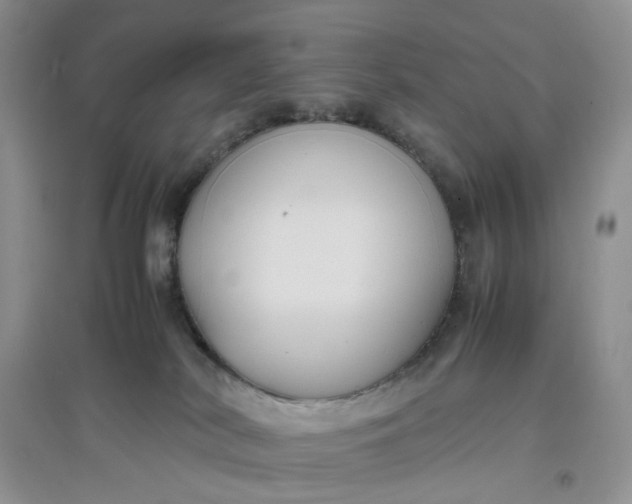 X0000097620038200803142012