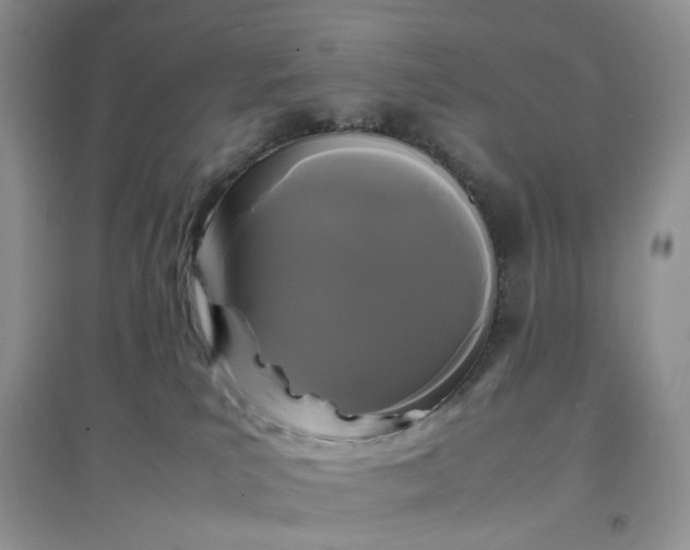 X0000097620039200803142012