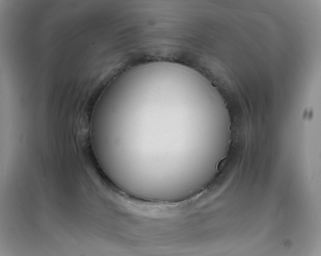 X0000097620040200803142012
