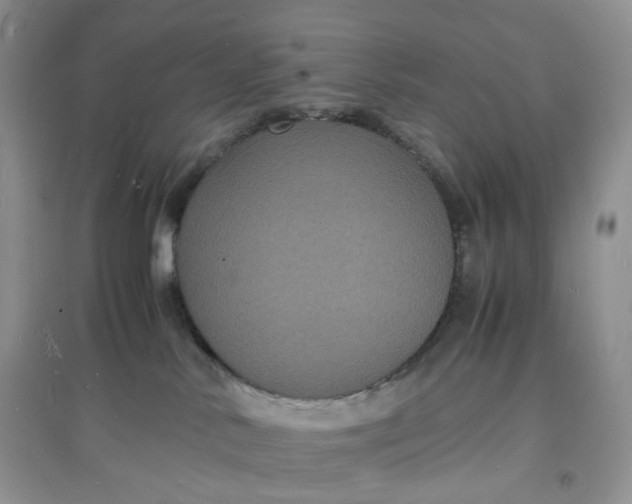 X0000097620042200803142012