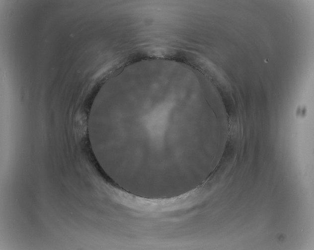 X0000097620043200803142012
