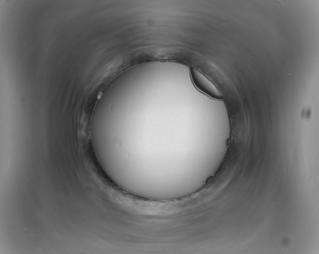 X0000097620044200803142012