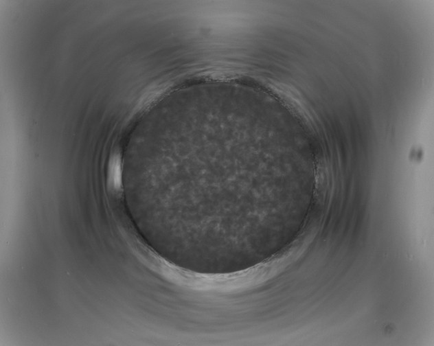 X0000097620046200803142012