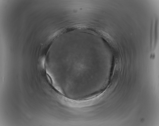 X0000097620047200803142012