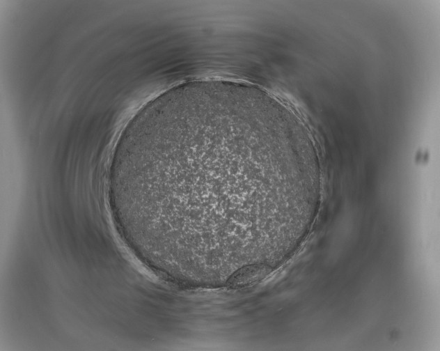X0000097620049200803142011