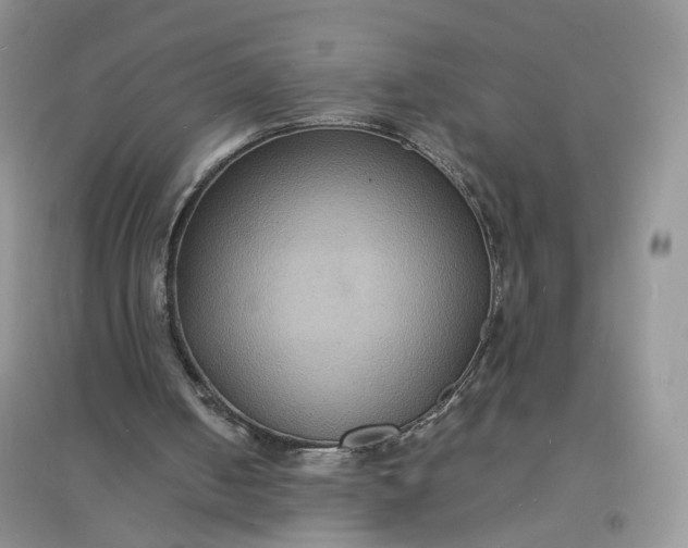 X0000097620050200803142011