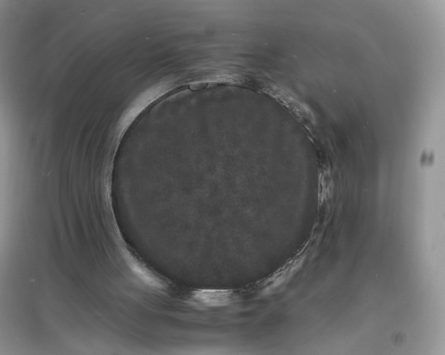 X0000097620051200803142011