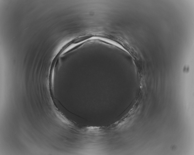 X0000097620052200803142011