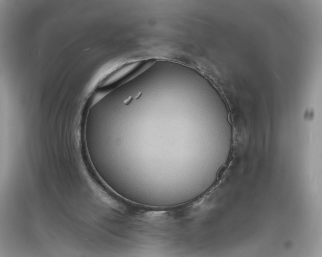 X0000097620054200803142011