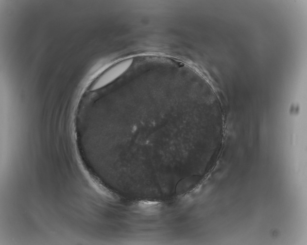 X0000097620055200803142011
