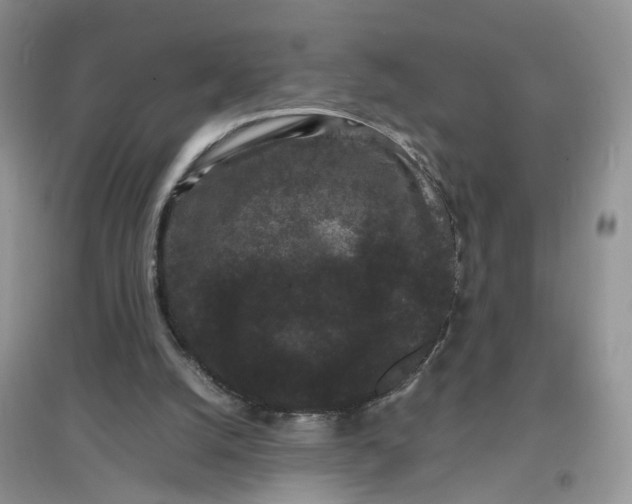 X0000097620056200803142011