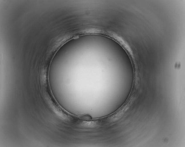X0000097620057200803142011