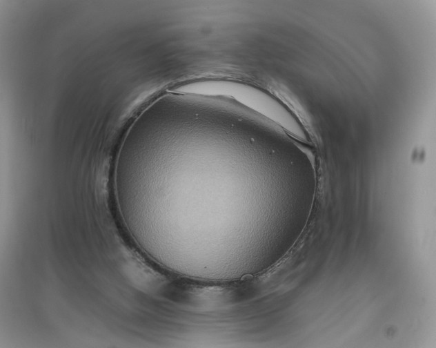 X0000097620058200803142011