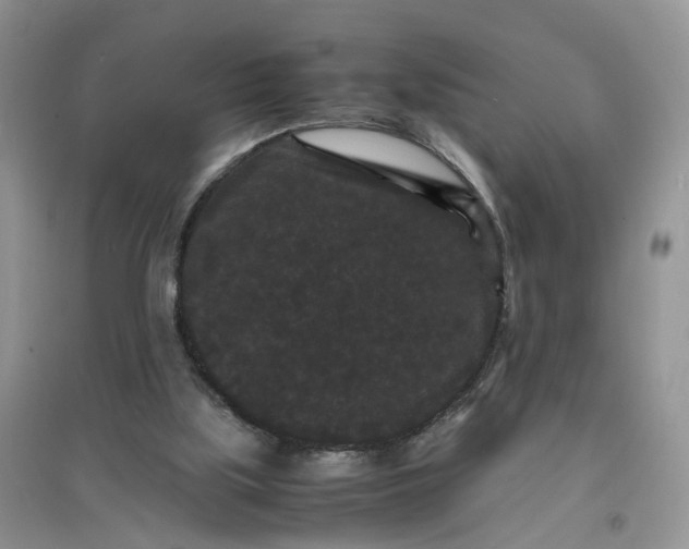X0000097620059200803142011