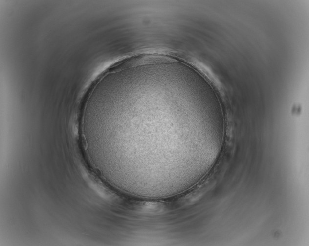X0000097620060200803142011