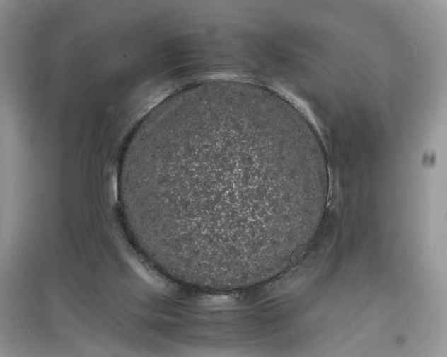 X0000097620061200803142011