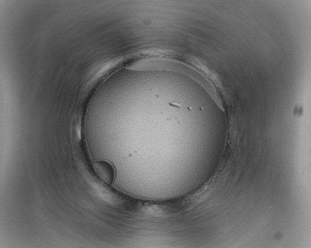 X0000097620062200803142011