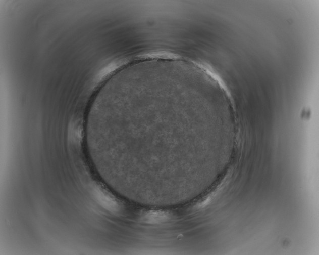 X0000097620063200803142011