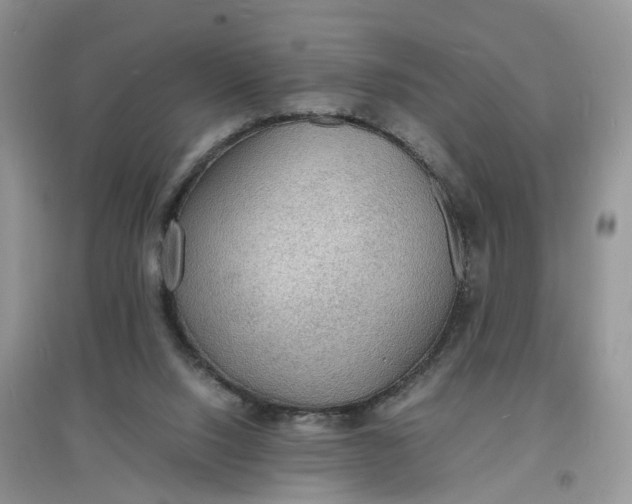 X0000097620064200803142011