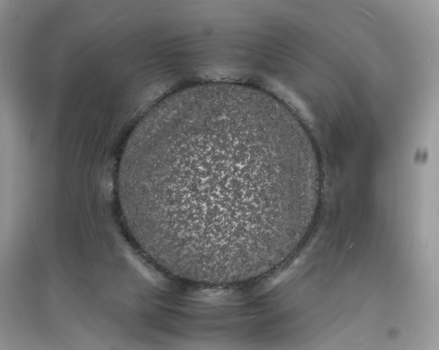 X0000097620065200803142011