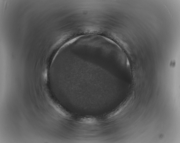 X0000097620067200803142011