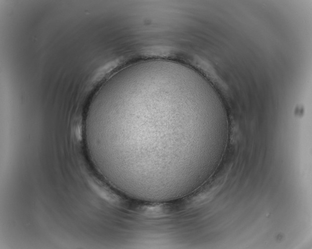 X0000097620068200803142011