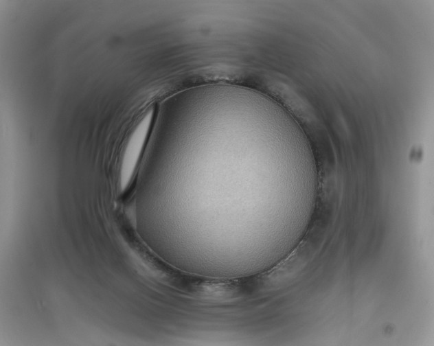 X0000097620070200803142011