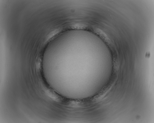 X0000097620071200803142011