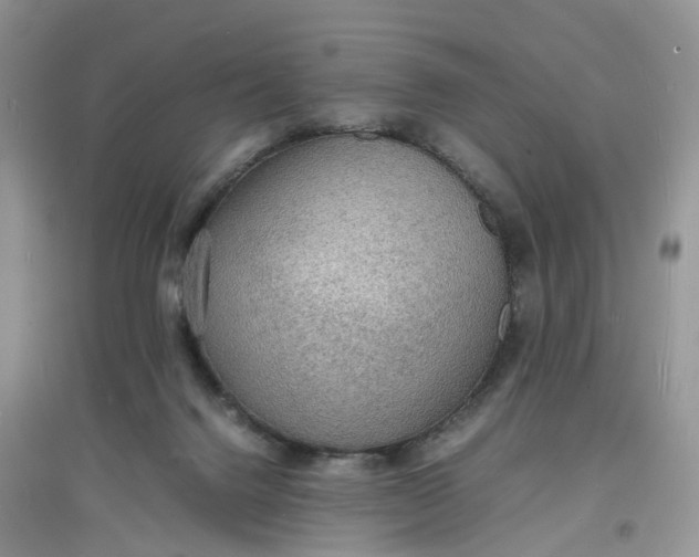 X0000097620072200803142011